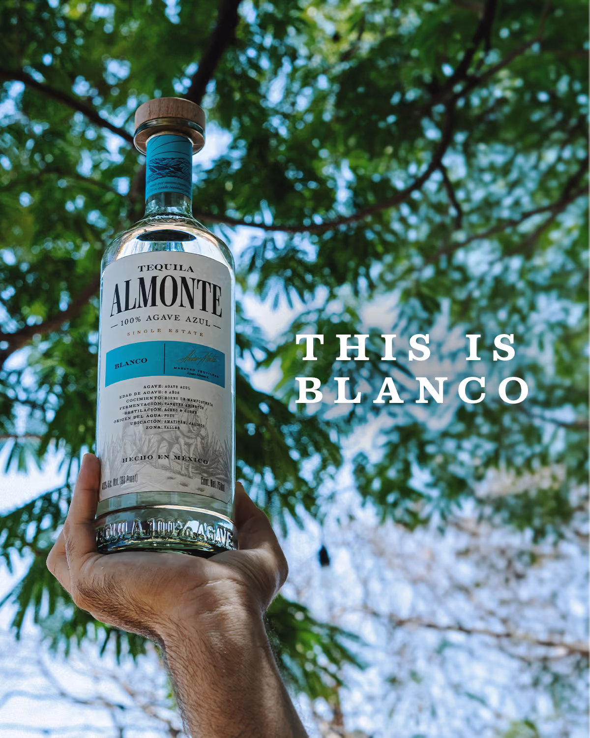 A hand holding a bottle of Almonte Blanco beneath the trees.