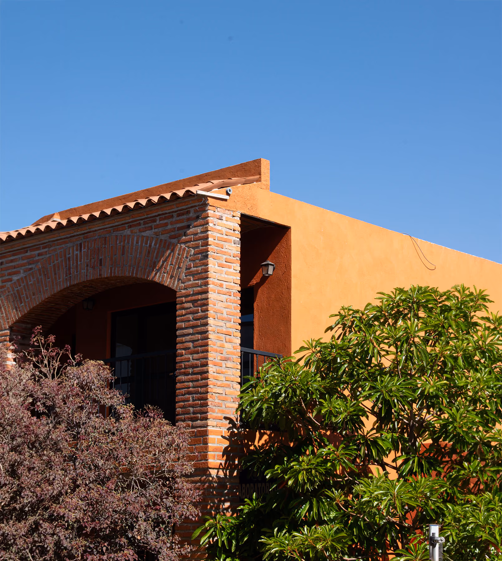 Brick facade and ochre walls surrounded by trees.