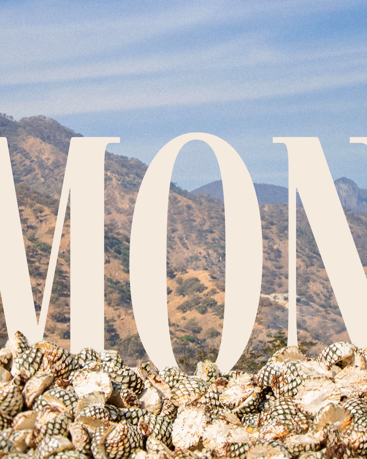 Agave hearts and the mountains of Amatitán beneath Almonte lettering.