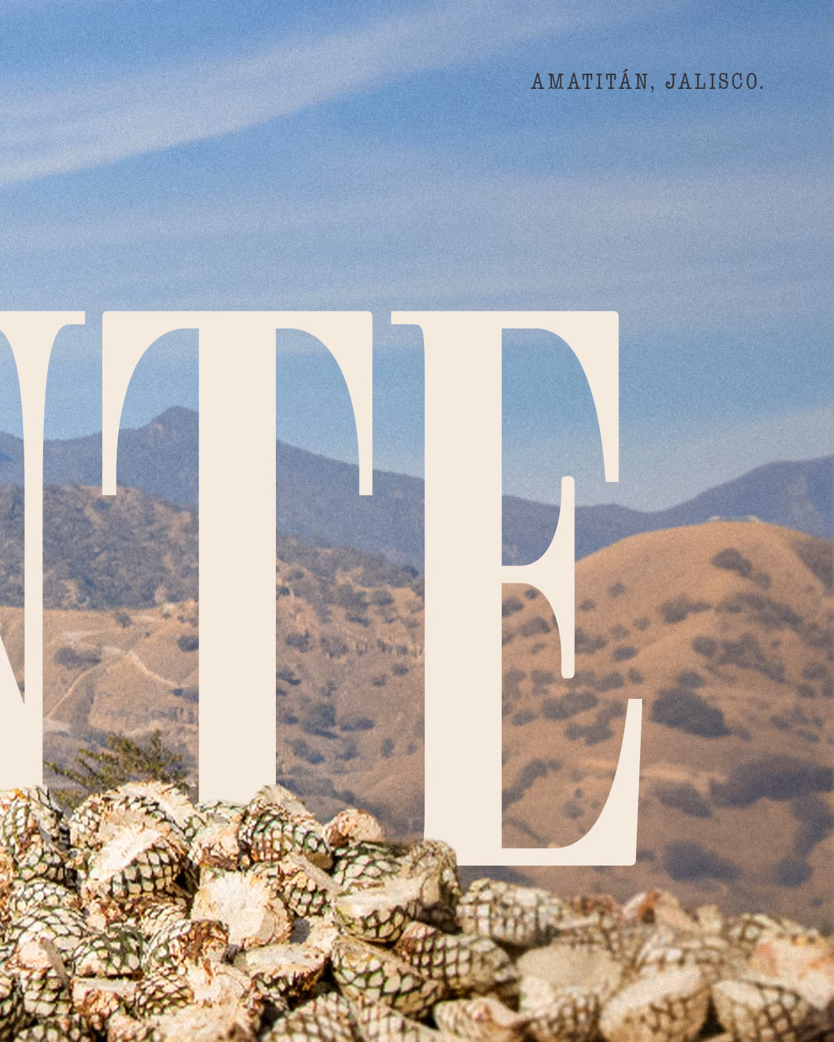 Amatitán landscape and agave hearts overlaid with Almonte lettering.