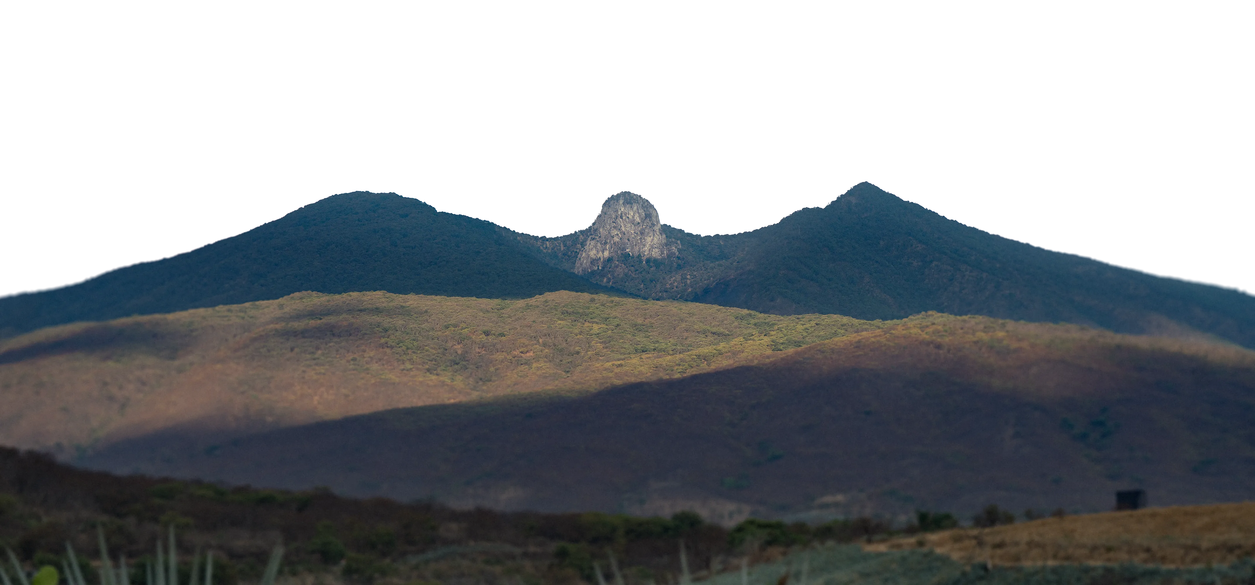 Mountains and agave fields in Amatitán, Jalisco.